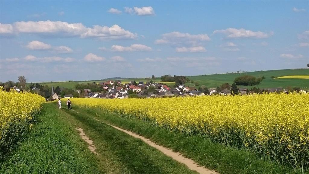 Ferienwohnung Maifeld Wierschem Buitenkant foto