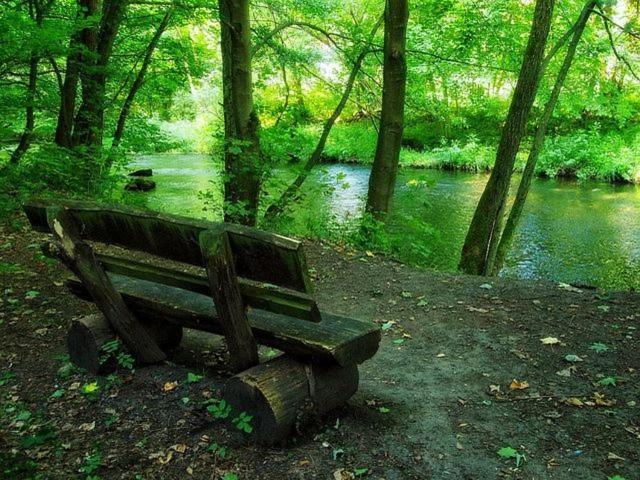 Ferienwohnung Maifeld Wierschem Buitenkant foto