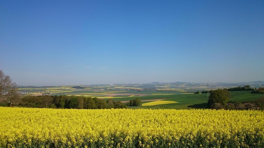Ferienwohnung Maifeld Wierschem Buitenkant foto